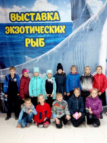 Гимназисты побывали на выставке экзотических рыб
