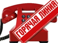 &laquo;Горячая линия&raquo; по вопросам ЕГЭ