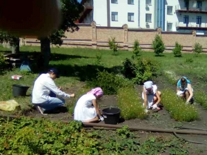 Трудовое лето в монастыре