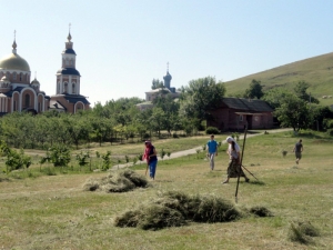 Гимназисты приступили к прохождению летней трудовой практики