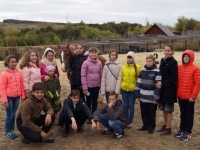 Гимназисты посетили конный клуб